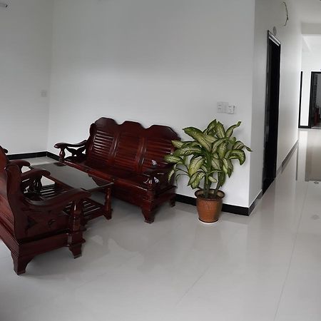 Thao Hieu Homestay هوي ان المظهر الخارجي الصورة
